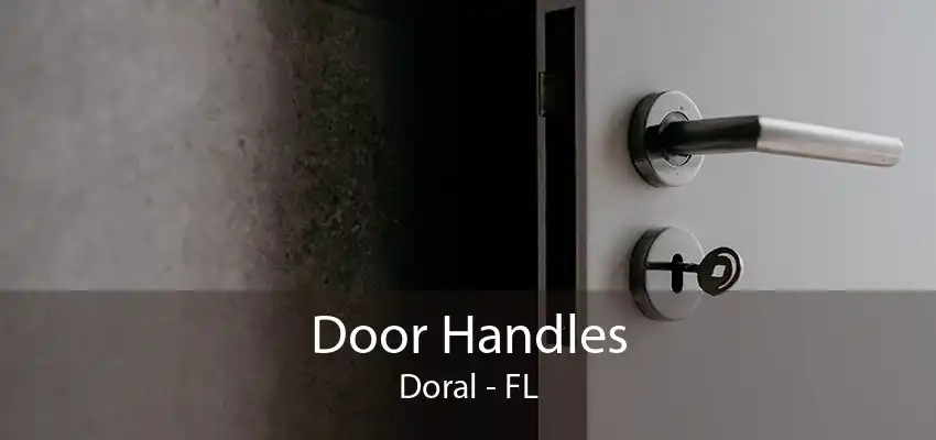 Door Handles Doral - FL