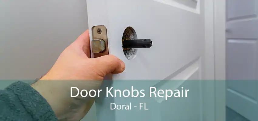 Door Knobs Repair Doral - FL