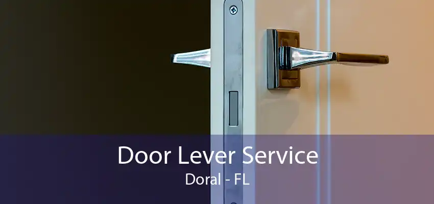 Door Lever Service Doral - FL